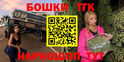 мдпв Дубна
