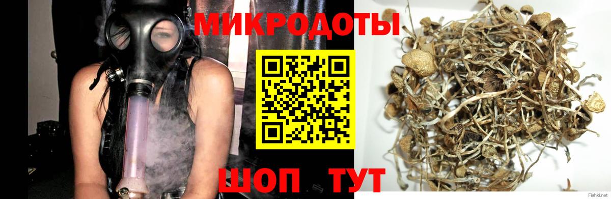 Галлюциногенные грибы Psilocybine cubensis  Галлюциногенные грибы мицелий  Можга  Вход с VPN 